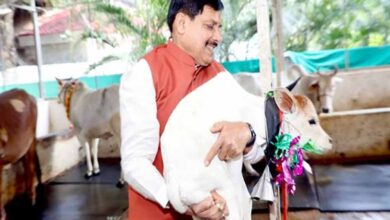 मुख्यमंत्री डॉ. यादव ने नवजात बछिया का किया नामकरण मुख्यमंत्री डॉ. यादव ने नवजात बछिया का किया नामकरण