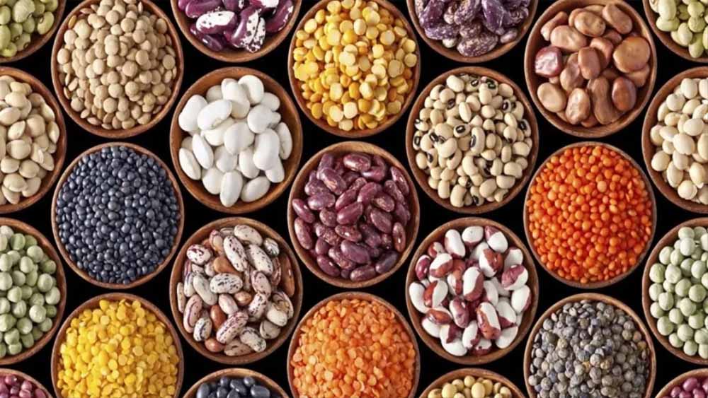 MP के तीन जिलों में खुलेगा Oil Seed Hub, किसानों को मिलेगा उन्नत बीज और तकनीक का लाभ