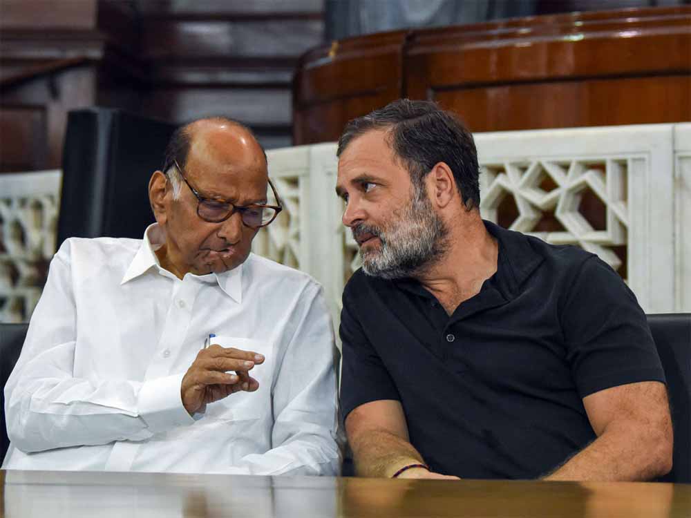 राहुल गांधी के सवालों पर भाजपा की प्रतिक्रिया और चुनाव आयोग पर उठते सवाल: शरद पवार का बड़ा बयान राहुल गांधी के सवालों पर भाजपा की प्रतिक्रिया और चुनाव आयोग पर उठते सवाल: शरद पवार का बड़ा बयान