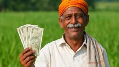पीएम किसान योजना की 21वीं किस्त रुकी? ये जरूरी अपडेट अभी करें, वरना पैसा नहीं मिलेगा!