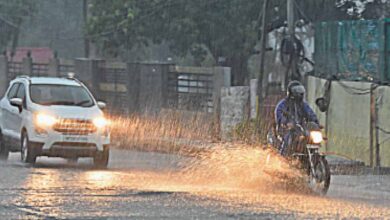 MP Weather Alert: भोपाल, इंदौर, जबलपुर और नर्मदापुरम में आज बारिश, अगले 4 दिन रहेंगे भीगे-भीगे
