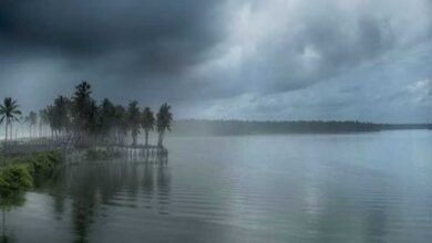 समय से पहले विदा हुआ मॉनसून, इन राज्यों में थमी बारिश की रफ्तार