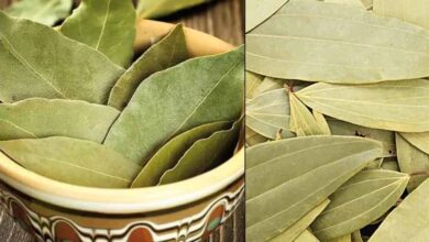 सुबह उठते ही पिएँ यह चाय, शुगर लेवल रहेगा कंट्रोल में