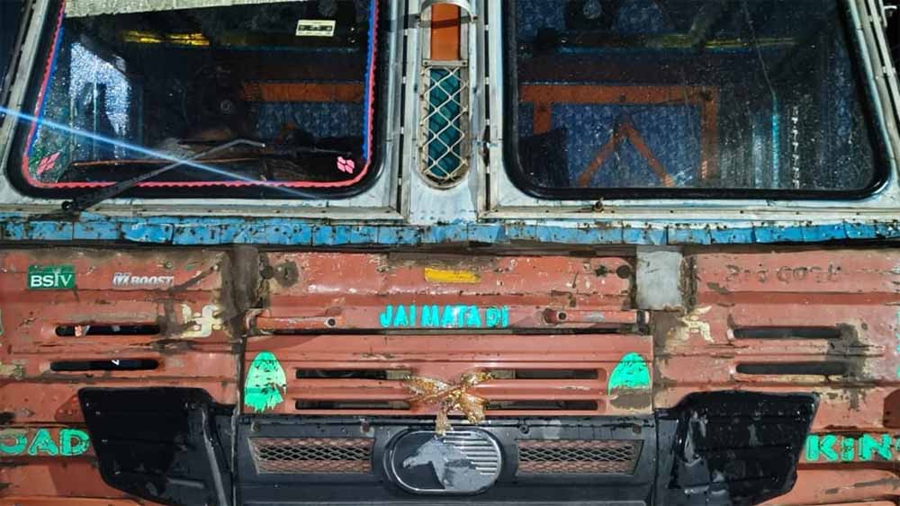 दुर्ग में तेज रफ्तार कंटेनर ने ली 8 गायों की जान, ड्राइवर मौके से भागा लेकिन हुआ गिरफ्तार