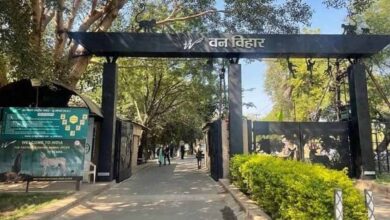 एक से सात अक्टूबर तक मनेगा वन्य-प्राणी सप्ताह