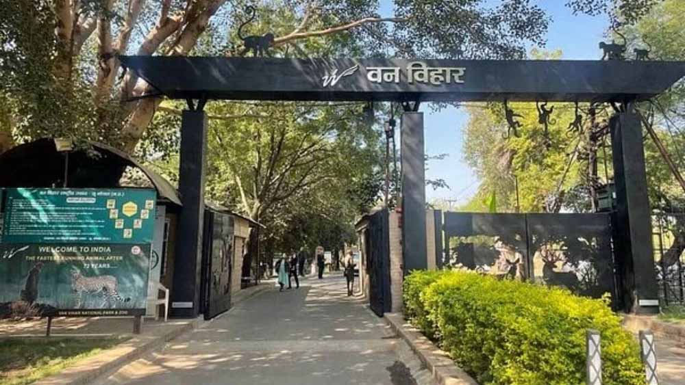 एक से सात अक्टूबर तक मनेगा वन्य-प्राणी सप्ताह