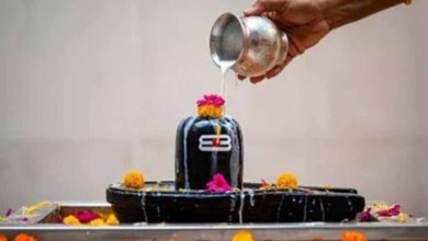 देवउठनी एकादशी 2025: शिवलिंग पर चढ़ाएं ये 5 चीजें, दूर होंगे जीवन के सभी दुख!