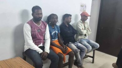 कोरबा में गोवंश तस्करी का पर्दाफाश: आरोपी गिरफ्तार, सात बैल बरामद