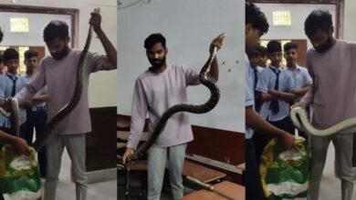 क्लासरूम में अजगर की दहशत, फुंकार से मचा हड़कंप, छात्रों का हुआ रेस्क्यू