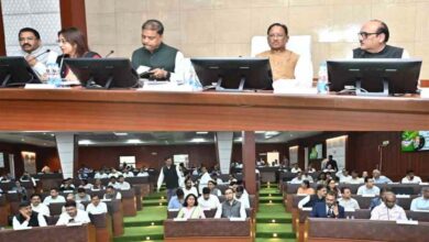 कलेक्टर-डीएफओ कॉन्फ्रेंस: CM साय वन विभाग के कामों की कर रहे समीक्षा