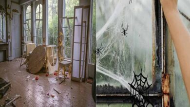 दीवाली से पहले घर से निकाल दें ये अशुभ वस्तुएं, वरना अलक्ष्मी कर सकती हैं प्रवेश!