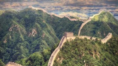 दुनिया का इकलौता देश जिसकी सीमा 14 देशों से लगती है, जानें कौन-कौन हैं पड़ोसी दुनिया का इकलौता देश जिसकी सीमा 14 देशों से लगती है, जानें कौन-कौन हैं पड़ोसी