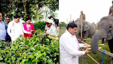 मध्यप्रदेश और असम के बीच वन्य जीव पर्यटन में साझेदारी के लिए होगी विशेष पहल : मुख्यमंत्री डॉ. यादव