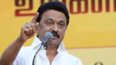 भारत के इस राज्य में हिंदी फिल्मों और गानों पर रोक? सरकार ला सकती है नया बिल