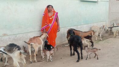 रायपुर : महतारी वंदन योजना से बदली ज़िंदगी श्यामा बनी आत्मनिर्भरता की पहचान