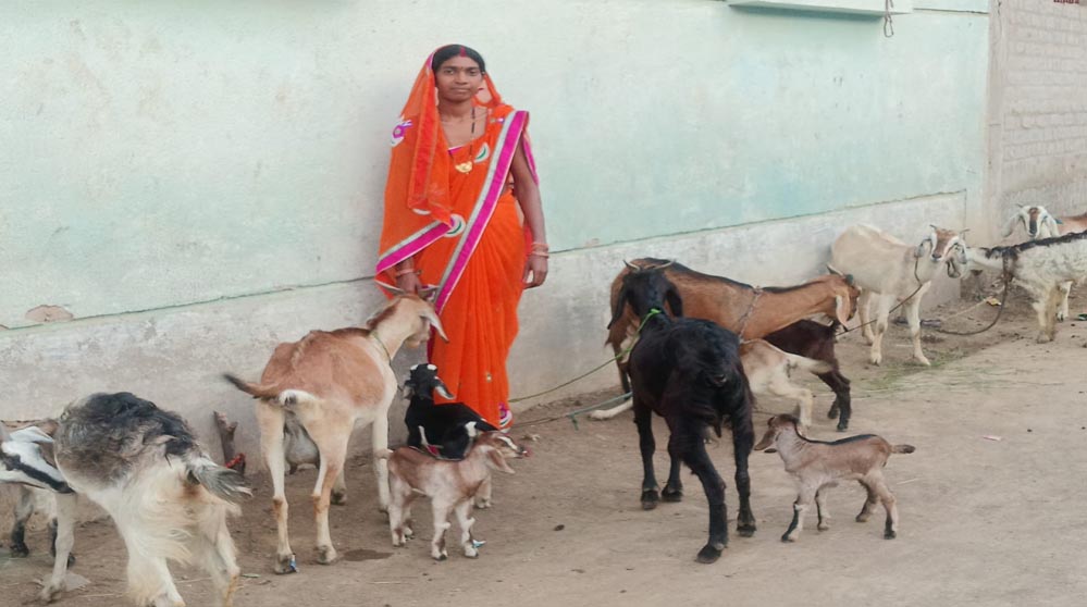 रायपुर : महतारी वंदन योजना से बदली ज़िंदगी श्यामा बनी आत्मनिर्भरता की पहचान