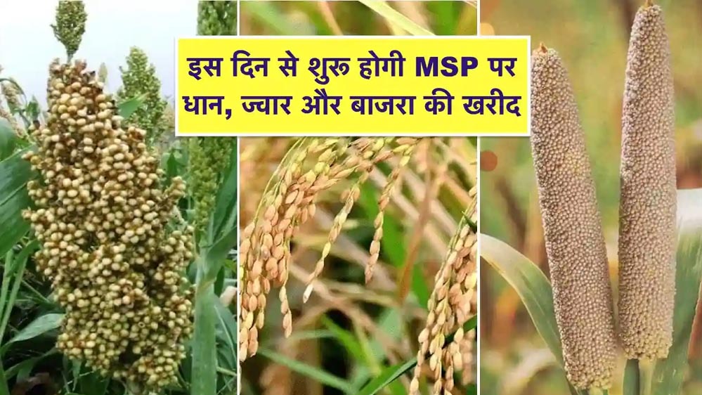 समर्थन मूल्य पर धान, ज्वार, बाजरा उपार्जन के लिए 8 लाख 53 हजार 911 किसानों ने कराया पंजीयन
