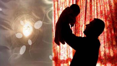 नए शोध में खुलासा: भारतीय पुरुषों की स्पर्म क्वालिटी पूरी दुनिया के उल्टे स्टेबल