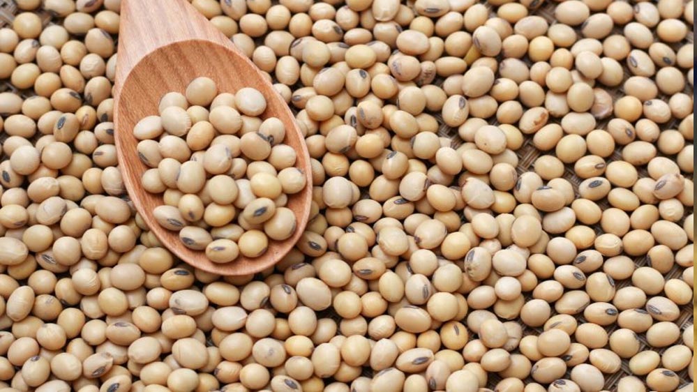 सागर में CCTV निगरानी में होगी सोयाबीन खरीदी, किसानों को MSP पर मिलेगा लाभ