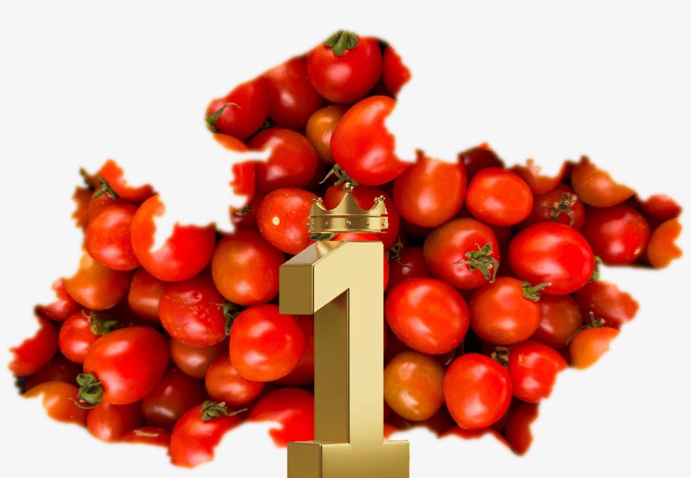 टमाटर उत्पादन में देश में नंबर-1 है मध्यप्रदेश टमाटर उत्पादन में देश में नंबर-1 है मध्यप्रदेश