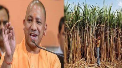 यूपी गन्ना किसानों के लिए खुशखबरी: दाम में ₹30 प्रति क्विंटल की बंपर बढ़ोतरी