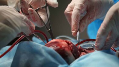 मौत से जिंदगी तक: पहला ट्रांसप्लांट जिसने दुनिया को हिला दिया! मौत से जिंदगी तक: पहला ट्रांसप्लांट जिसने दुनिया को हिला दिया!