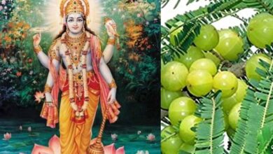 अक्षय नवमी 2025: जानें सही तिथि, पूजा विधि और शुभ मुहूर्त में करें ये खास उपाय अक्षय नवमी 2025: जानें सही तिथि, पूजा विधि और शुभ मुहूर्त में करें ये खास उपाय