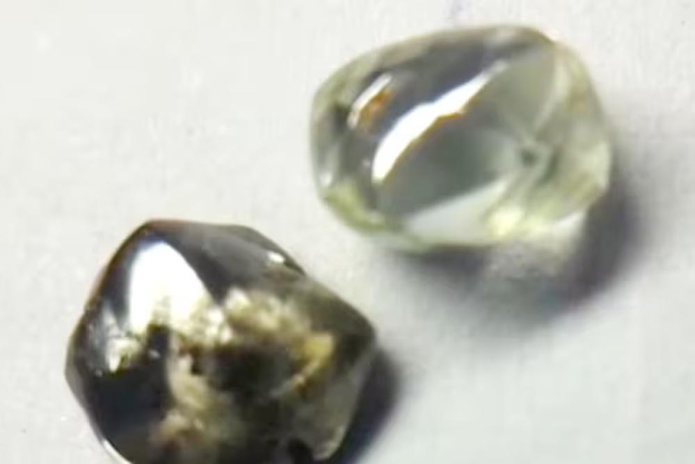 पन्ना टाइगर रिजर्व के गाइड को मिले दो चमचमाते हीरे, आगामी नीलामी में रखे