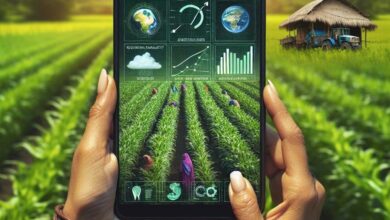 MP में खाद संकट का मिलेगा स्मार्ट समाधान, कृषि अधिकारी ने बनाया किसान-केंद्रित ऐप