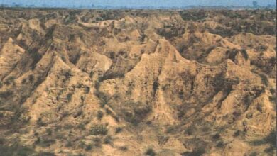 चंबल के बीहड़ में सोलर प्लांट: सरकार की बड़ी योजना से बदल जाएगी पहचान चंबल के बीहड़ में सोलर प्लांट: सरकार की बड़ी योजना से बदल जाएगी पहचान