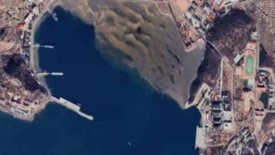 गाजा में शांति की उम्मीदों के बीच उठी नई चिंता, भारत के पड़ोसी ने तैनात किए दर्जनों युद्धपोत