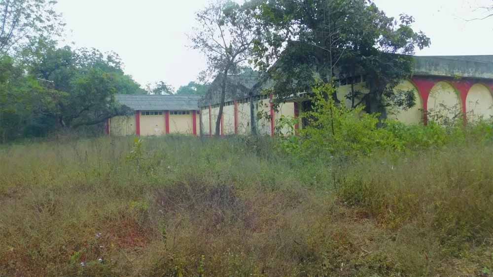 यूपी में बड़ा निवेश: 80 एकड़ पर इंडस्ट्रियल पार्क, तीन जिलों के किसानों को मिलेगा फायदा