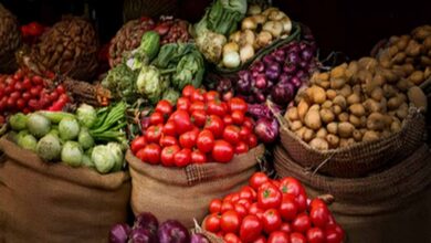 GST में कटौती से राहत: महंगाई 8 साल के निचले स्तर पर, खुदरा कीमतों में बड़ी गिरावट GST में कटौती से राहत: महंगाई 8 साल के निचले स्तर पर, खुदरा कीमतों में बड़ी गिरावट