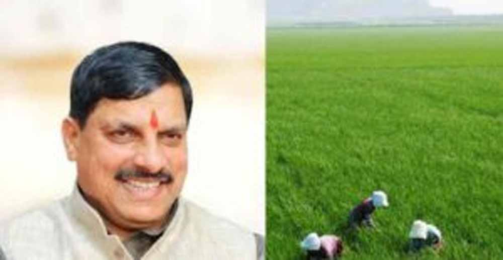 धनतेरस पर किसानों को बड़ा तोहफा! सरकार करेगी मुआवजे की धनवर्षा