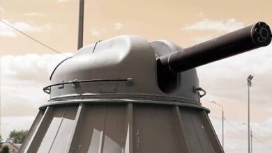 पाक सीमा पर सेना की ताकत बढ़ी, तैनात होंगी घातक AK-630 तोपें,  एक मिनट में तीन हजार राउंड करती है फायर