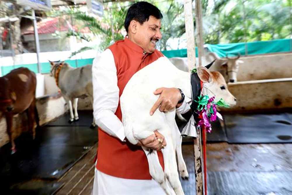 मध्यप्रदेश में दुग्ध उत्पादन से दोगुनी होगी पशुपालक किसानों की आय : मुख्यमंत्री डॉ. यादव मध्यप्रदेश में दुग्ध उत्पादन से दोगुनी होगी पशुपालक किसानों की आय : मुख्यमंत्री डॉ. यादव