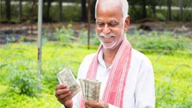 PM किसान योजना में बड़ा फर्जीवाड़ा! 44 हजार अपात्र परिवारों से वसूली की तैयारी