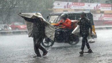 MP में मानसून का कमजोर असर, अगले 3 दिन बूंदाबांदी का अनुमान MP में मानसून का कमजोर असर, अगले 3 दिन बूंदाबांदी का अनुमान