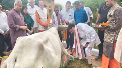 गोवर्धन पूजा प्रकृति से जुड़े रहने की देती है सीख- उप मुख्यमंत्री शुक्ल