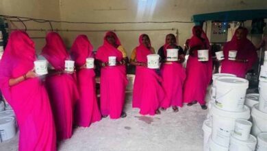 आजीविका मिशन से जुड़ी महिलाओं ने प्राकृतिक पेंट बनाकर की अनूठी पहल : मुख्यमंत्री डॉ. यादव