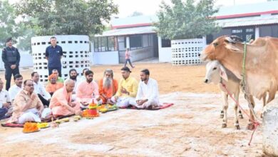 गोवर्धन पूजा पर सीएम योगी बने ‘गोपालक’, गायों को खुद खिलाया गुड़-रोटी