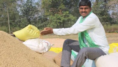 खेती से कमाई, अब आधुनिकता की ओर बढ़ते कदम खेती से कमाई, अब आधुनिकता की ओर बढ़ते कदम