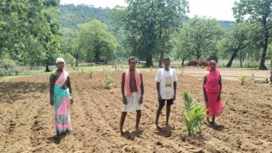 बंदूक की गूंज से फलों और फूलों की महक तक का सफर