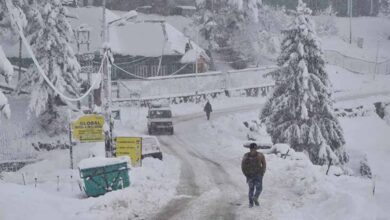 उत्तर और मध्य भारत में बढ़ती ठंड: अगले दो दिन शीतलहर चरम पर रहने का अनुमान