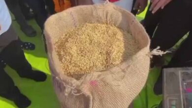 कवर्धा : धान उपार्जन 2025-26 : पहले दिन 306.8 क्विंटल खरीदी