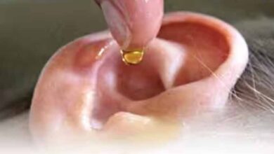 क्या बच्चों के कान में तेल डालना सुरक्षित है? सुनें एक्सपर्ट की राय