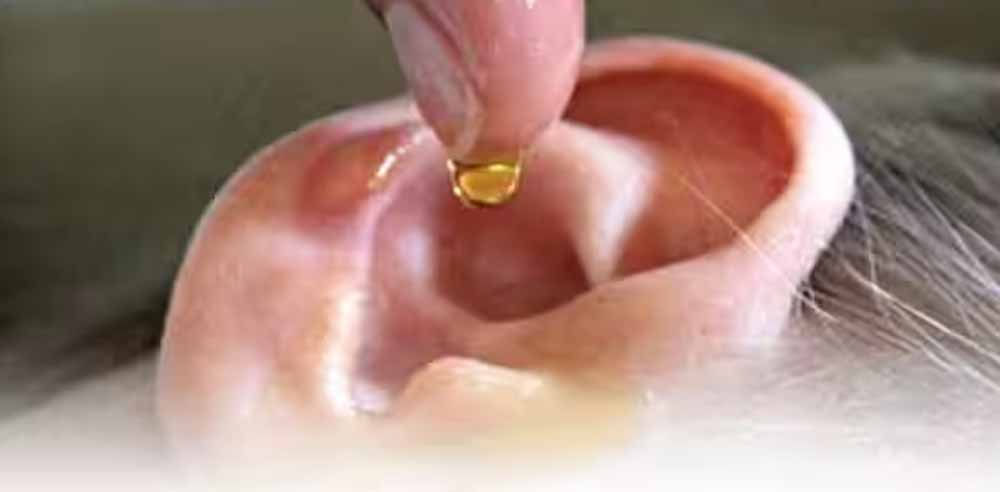 क्या बच्चों के कान में तेल डालना सुरक्षित है? सुनें एक्सपर्ट की राय क्या बच्चों के कान में तेल डालना सुरक्षित है? सुनें एक्सपर्ट की राय