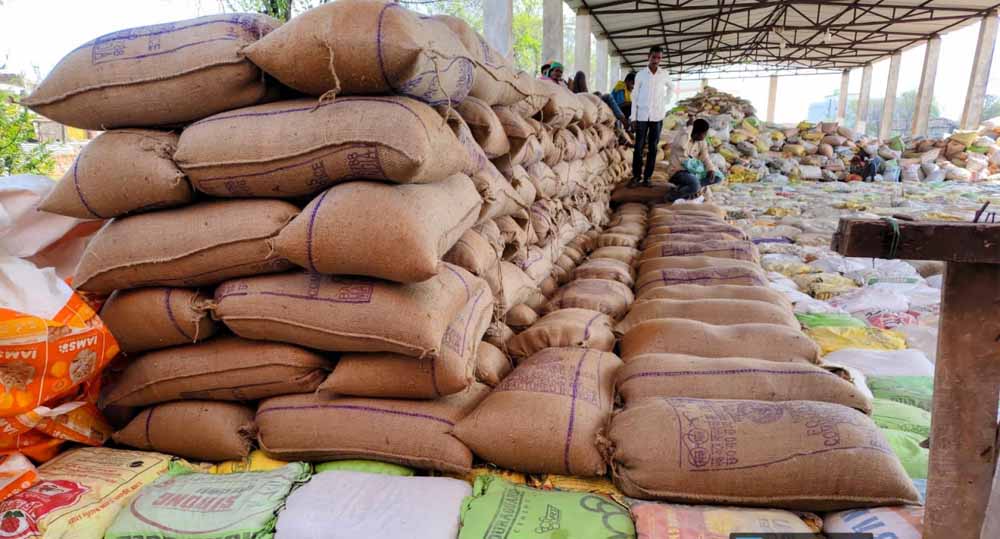 बालोद जिले में समर्थन मूल्य पर धान खरीदी कार्य सफलतापूर्वक जारी