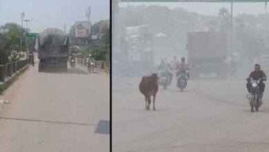 पर्यावरण संकट पर कार्रवाई की तैयारी: प्रशासन ने जल प्रदूषण व फ्लाई ऐश मामले में मांगी रिपोर्ट