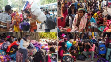 हाकिमपुर बॉर्डर पर हड़कंप: अवैध बांग्लादेशियों का चौंकाने वाला कबूलनामा—‘बंगाल में चार बार दिया वोट’